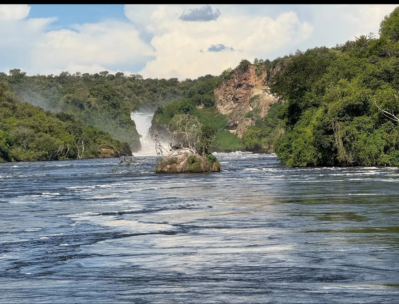 The Nile flowing toward a waterfall through green forest in Uganda
